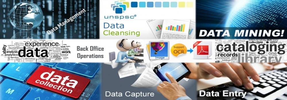 Data Entry Services Bangalore